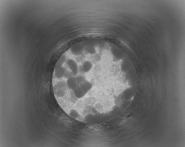 X0000066931015200604141952