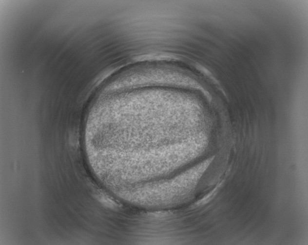 X0000066931017200604141952