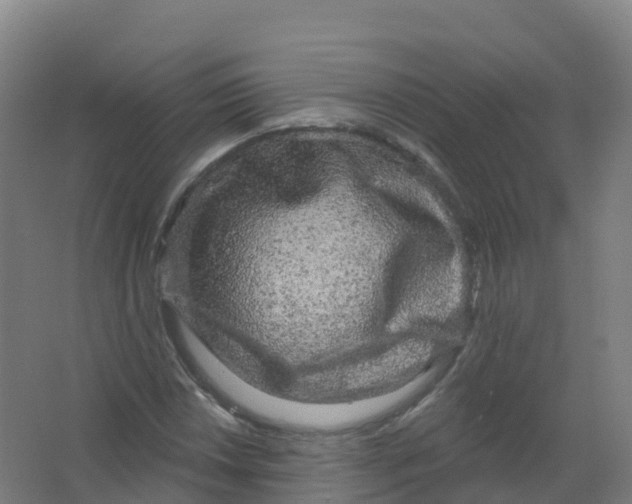 X0000066931018200604141952