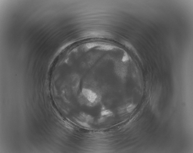 X0000066931019200604141952