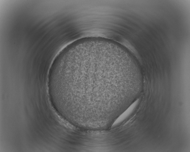 X0000066931020200604141952