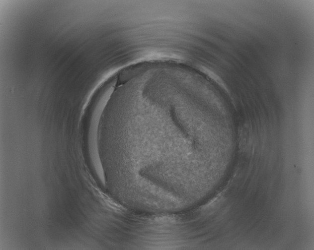 X0000066931021200604141952