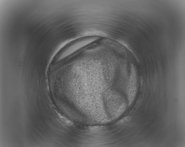 X0000066931022200604141952