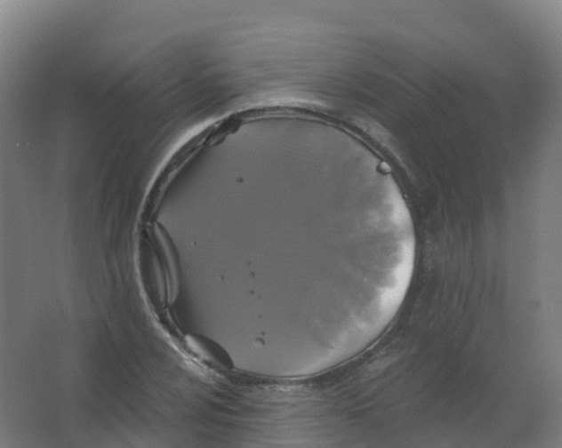 X0000066931024200604141952