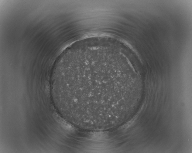 X0000066931025200604141952