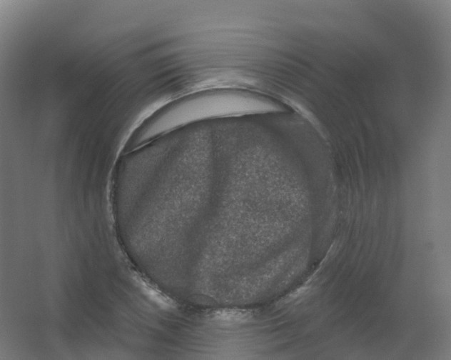 X0000066931026200604141952