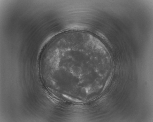 X0000066931027200604141952