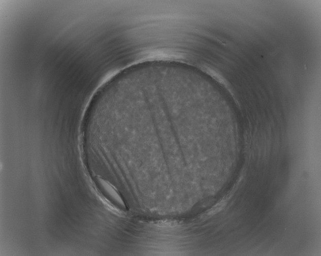 X0000066931029200604141952