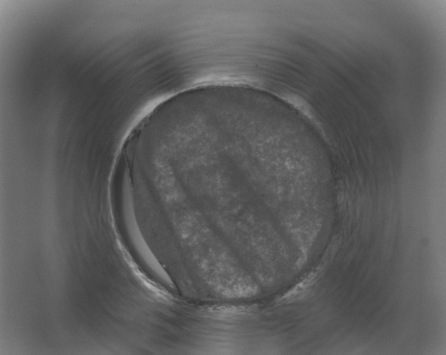 X0000066931030200604141952