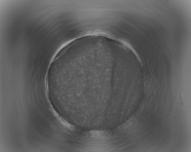 X0000066931032200604141952