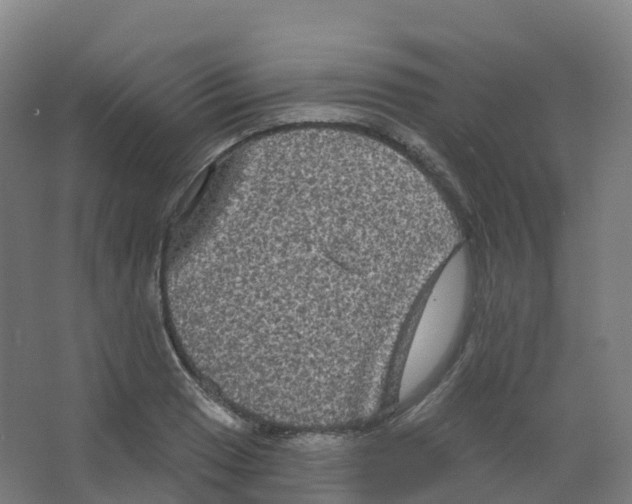 X0000066931033200604141952