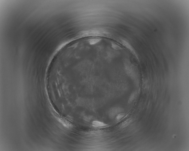 X0000066931035200604141952