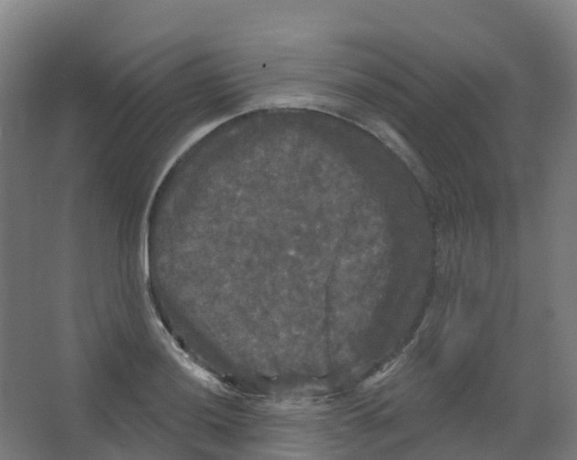 X0000066931036200604141952