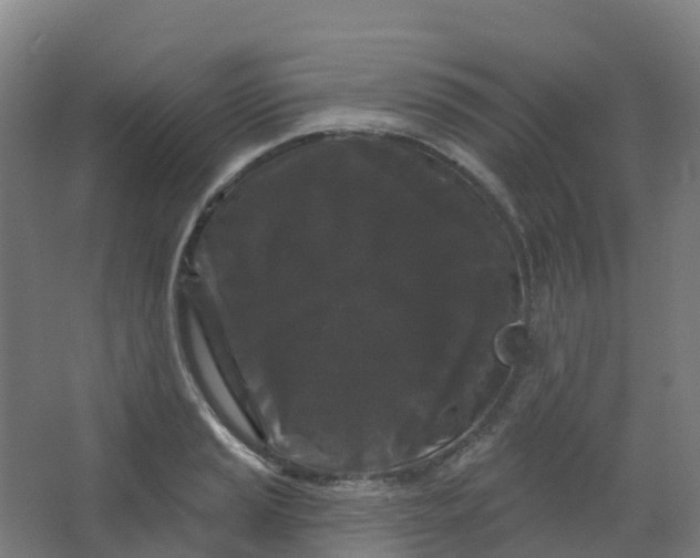 X0000066931037200604141952