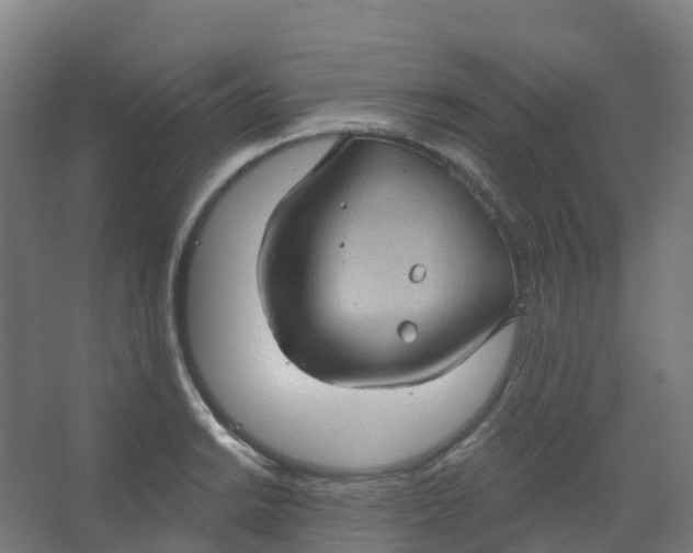 X0000066931038200604141952