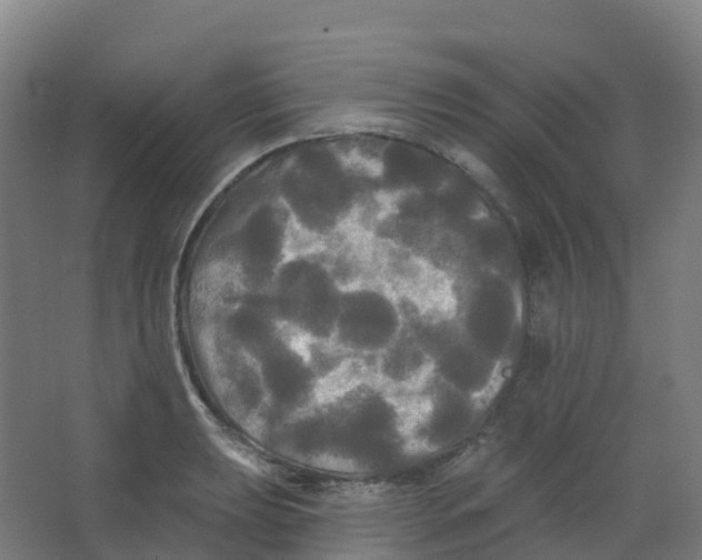 X0000066931039200604141952