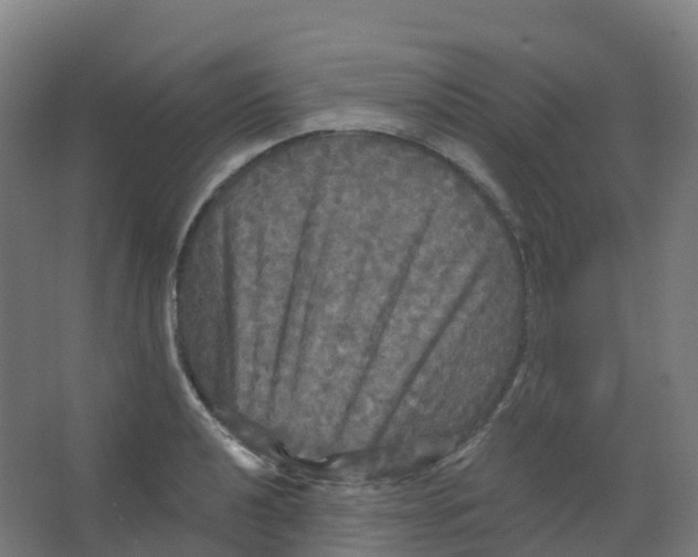 X0000066931040200604141952