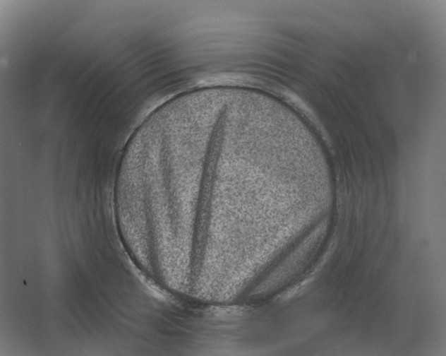 X0000066931041200604141952