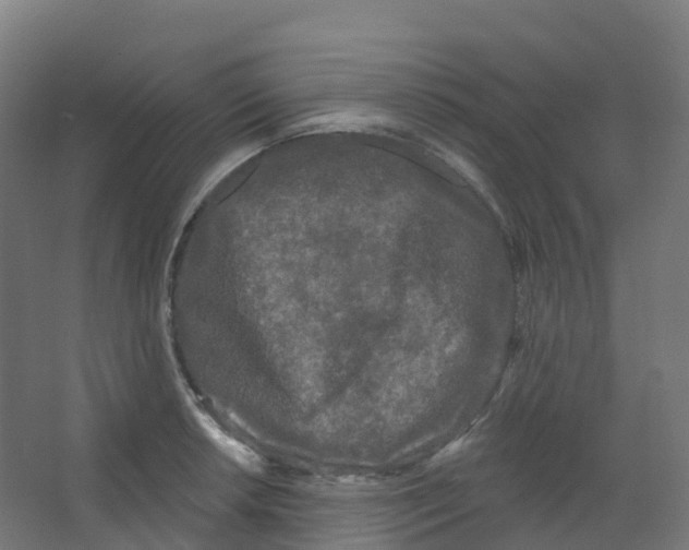 X0000066931042200604141952