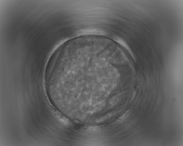 X0000066931043200604141953