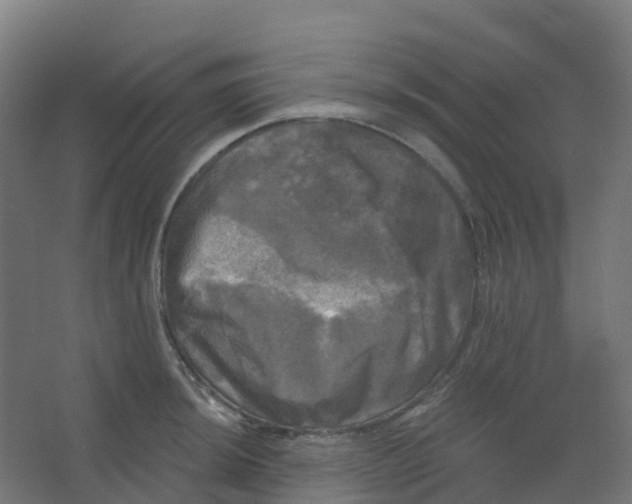 X0000066931044200604141953