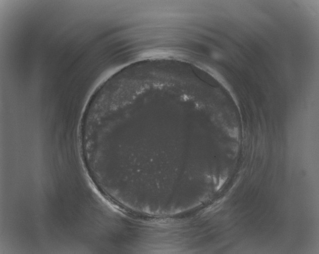 X0000066931045200604141953