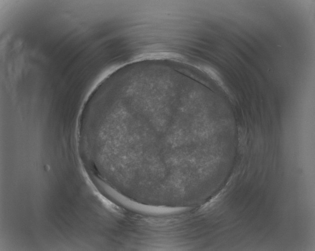 X0000066931046200604141953