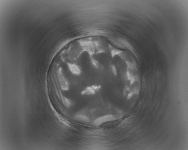 X0000066931047200604141953