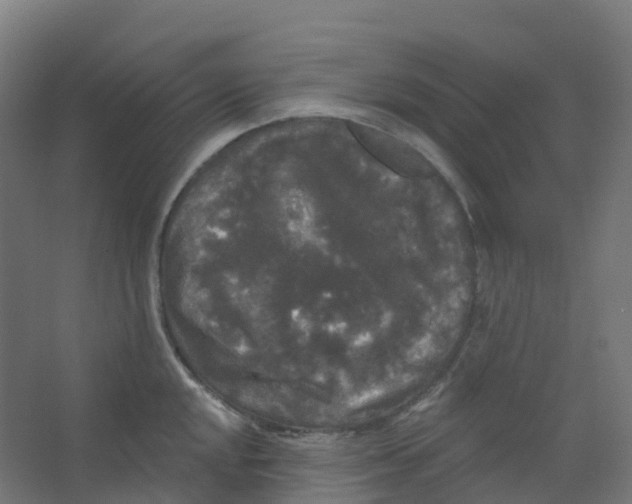 X0000066931048200604141953