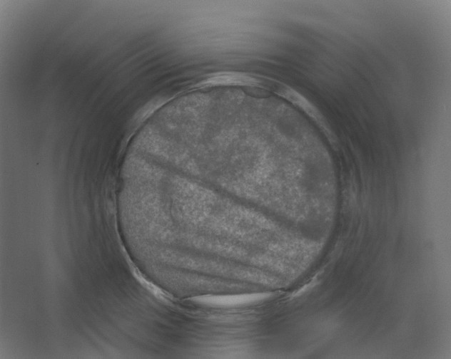 X0000066931049200604141953