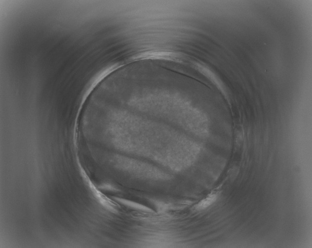 X0000066931050200604141953