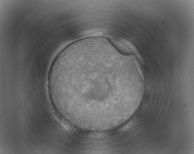 X0000066931051200604141953