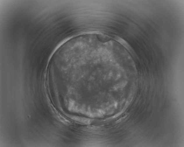 X0000066931052200604141953