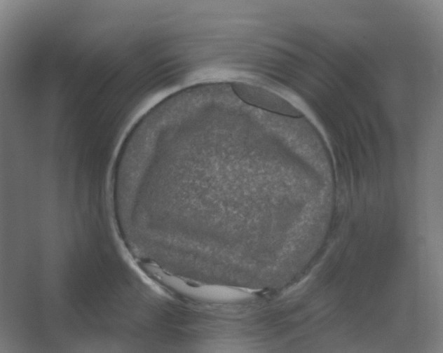 X0000066931053200604141953