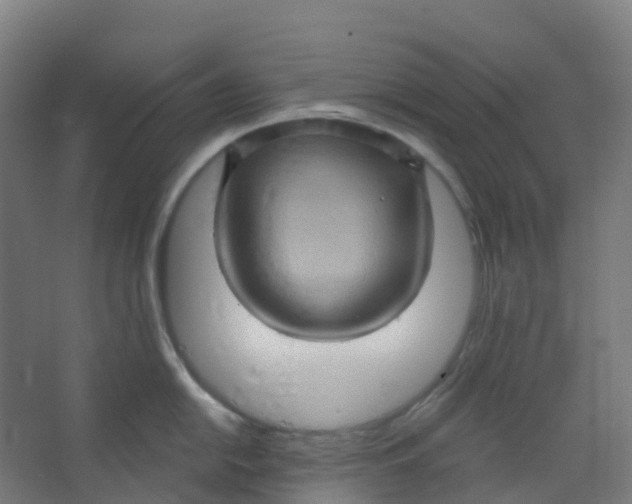 X0000066931054200604141953