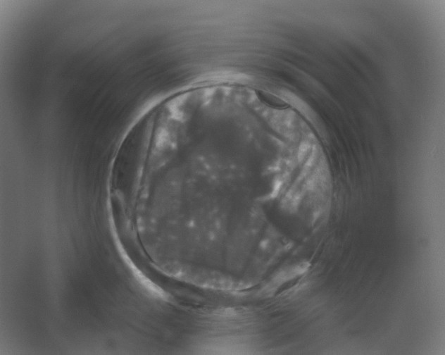 X0000066931055200604141953