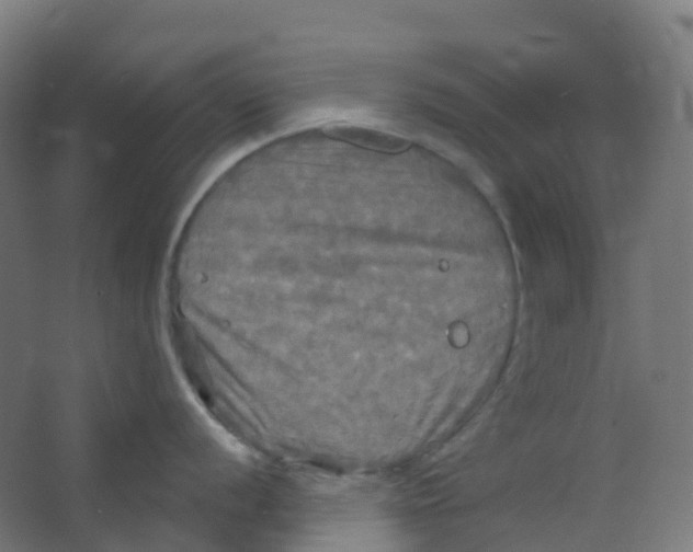 X0000066931056200604141953