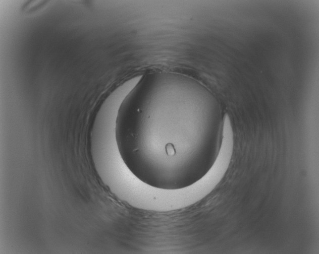 X0000066931057200604141952