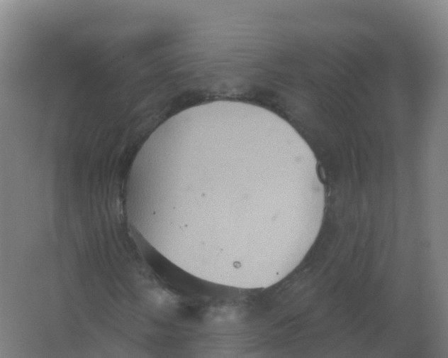 X0000066931058200604141952