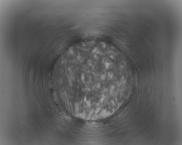 X0000066931059200604141952