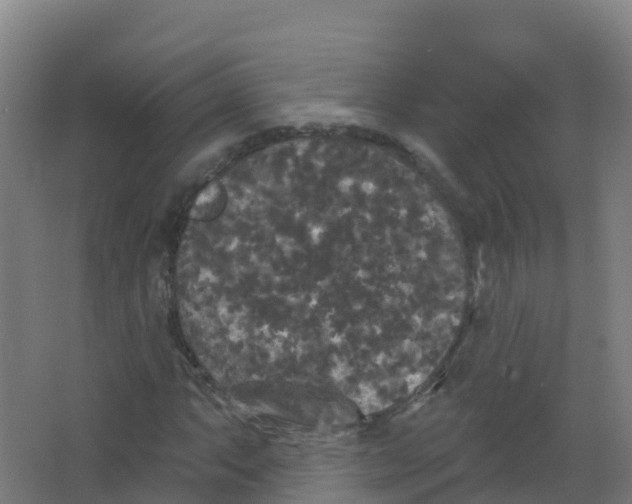 X0000066931063200604141952