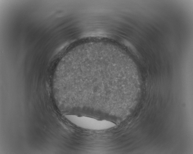 X0000066931064200604141952