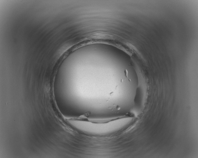 X0000066931065200604141952