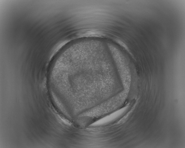 X0000066931066200604141952