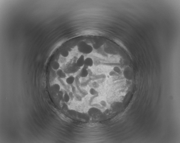 X0000066931067200604141952