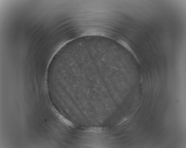 X0000066931068200604141952