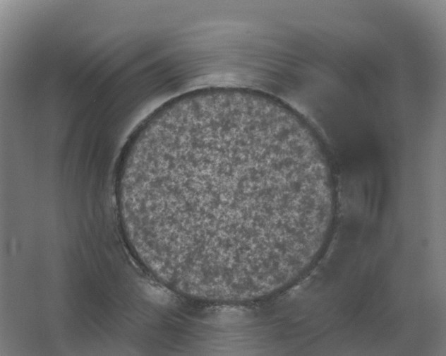 X0000066931070200604141952