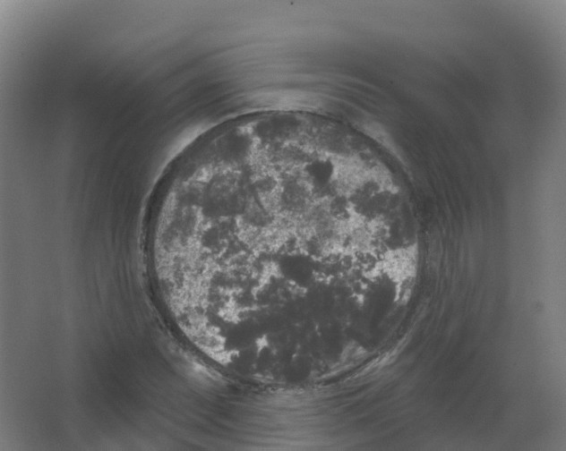 X0000066931071200604141952