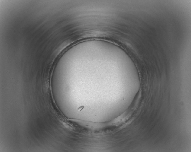 X0000066931073200604141952