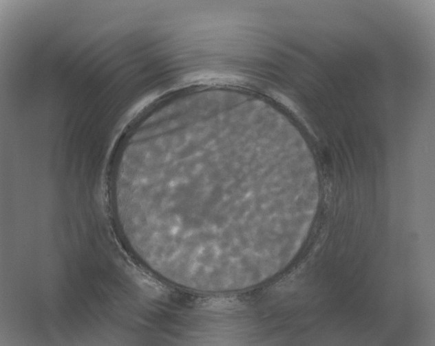 X0000066931074200604141952